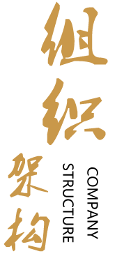 组织架构