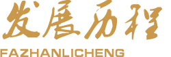 发展历程